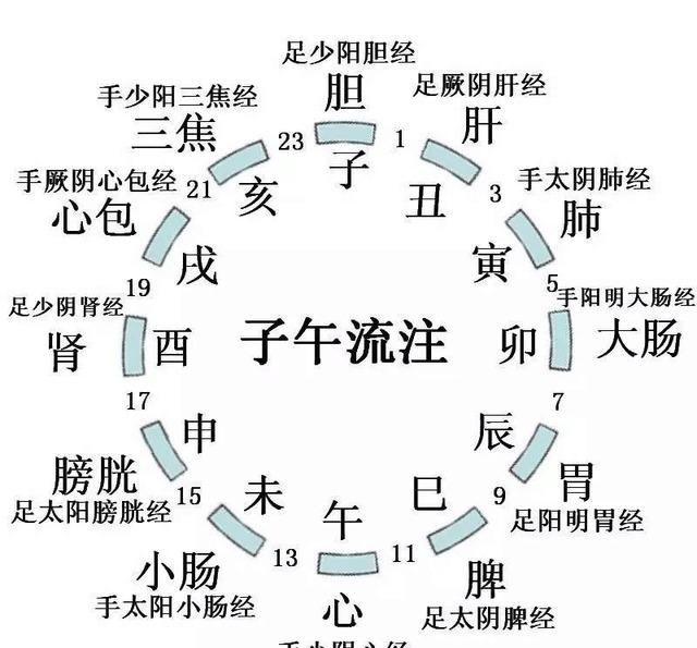  方法|胎息养生运动锻炼方法是真的吗？