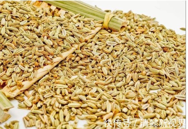 谷茴香|经常每天吃一把此物,能和胃理气,疏肝补肾,大肚子没了