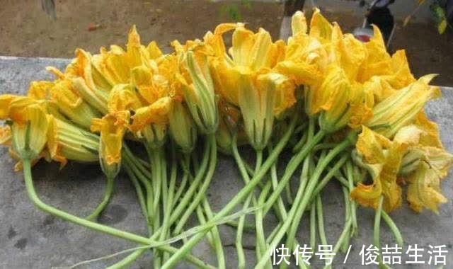 阳荷|奇怪的山野菜,就是去了山里也不一定认出来