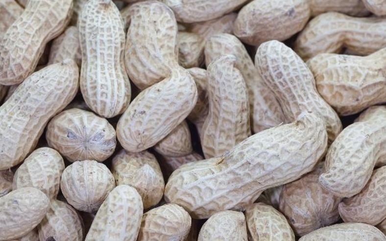 中老年人|生花生和熟花生,哪种营养价值更高很多人或许吃错了