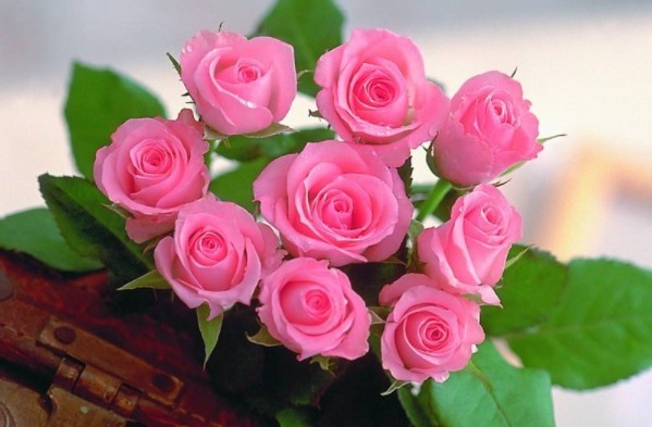 妙计!君子易处小人难防,击垮小人的4大妙计,学会一招小人跪地求饶!