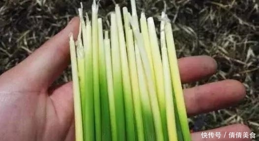 阿姨|童年的小零食,吃过2种的是阿姨,全吃过的可以是大妈