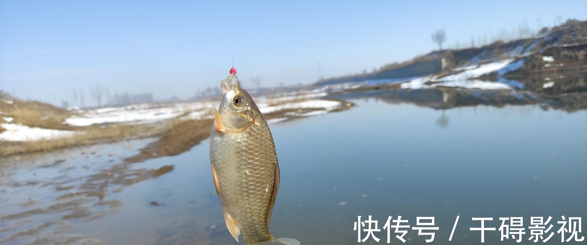 钓友|冬季鲫鱼晒太阳不咬钩，换饵，换漂皆无用，别瞎折腾了用这招吧