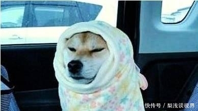 睡衣|冬季南方人为什么那么多喜欢穿睡衣出门?因为不想靠一身正气御寒