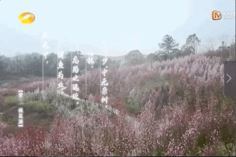 张艺兴是去建设社会主义新农村的吗?