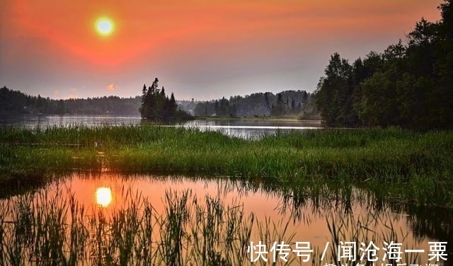 重启|桃花遍地，旧情浮现，深情入梦，重启彼此，一往而不渝