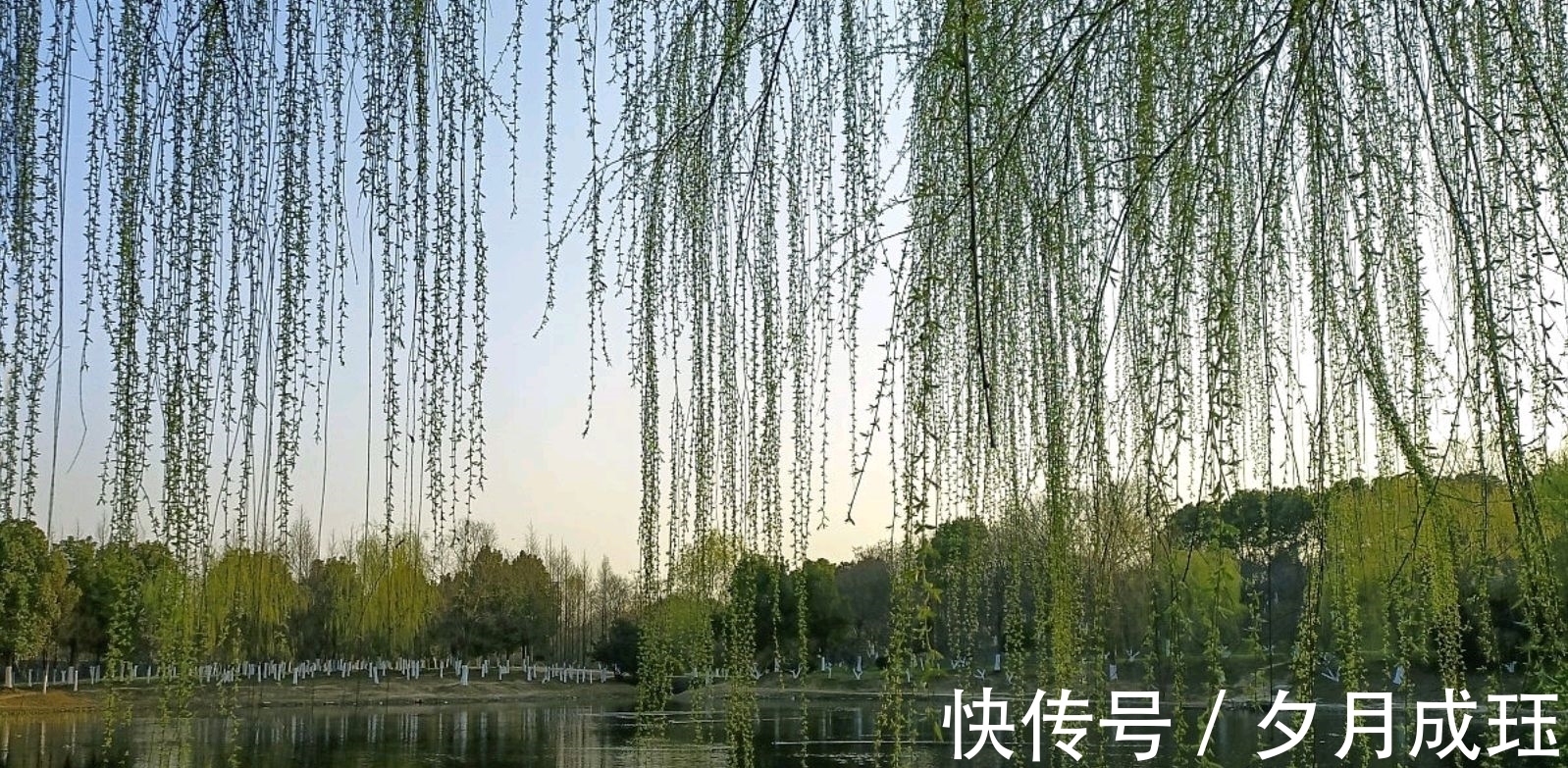 背井離鄉&杜甫寫在立春的一首七言律詩,背井離鄉生活困頓,期待生命的春天