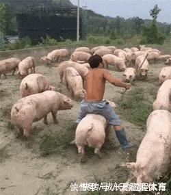 |笑话:班主任治早恋,从不棒打鸳鸯,就把俩人放同桌一直坐到毕业