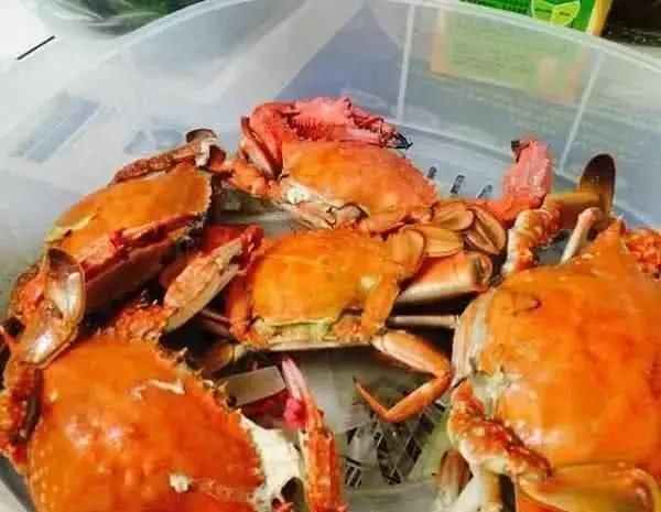 啤酒|无论清蒸什么海鲜,万万不能少了“这一步”,不然味道又腥又老