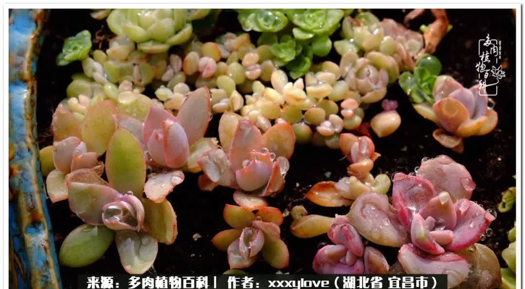 时光匆匆,一闪而逝,这世间万物的美,都值得被记录!