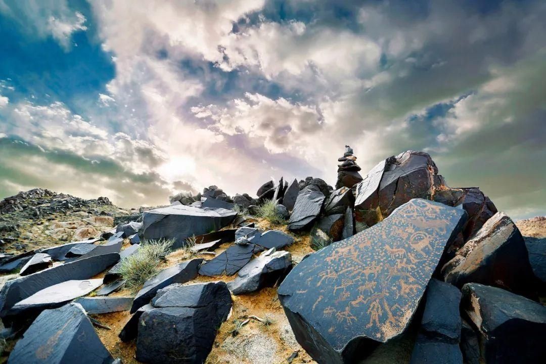  夜读|夜读丨《喜看阿拉善新面貌》