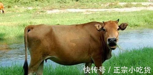 结石|牛黄都听说过，羊哀、狗宝、马黑听说过没！