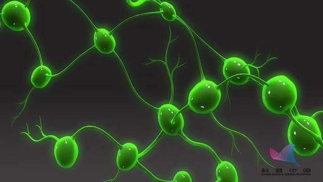 霍奇金|4岁男孩腹痛难耐确诊淋巴瘤！淋巴结肿大是肿瘤信号吗？