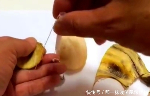 鲫鱼|香蕉钓鱼?香蕉切片后用来做饵,结果有点意外,鲤鱼鲫鱼都有