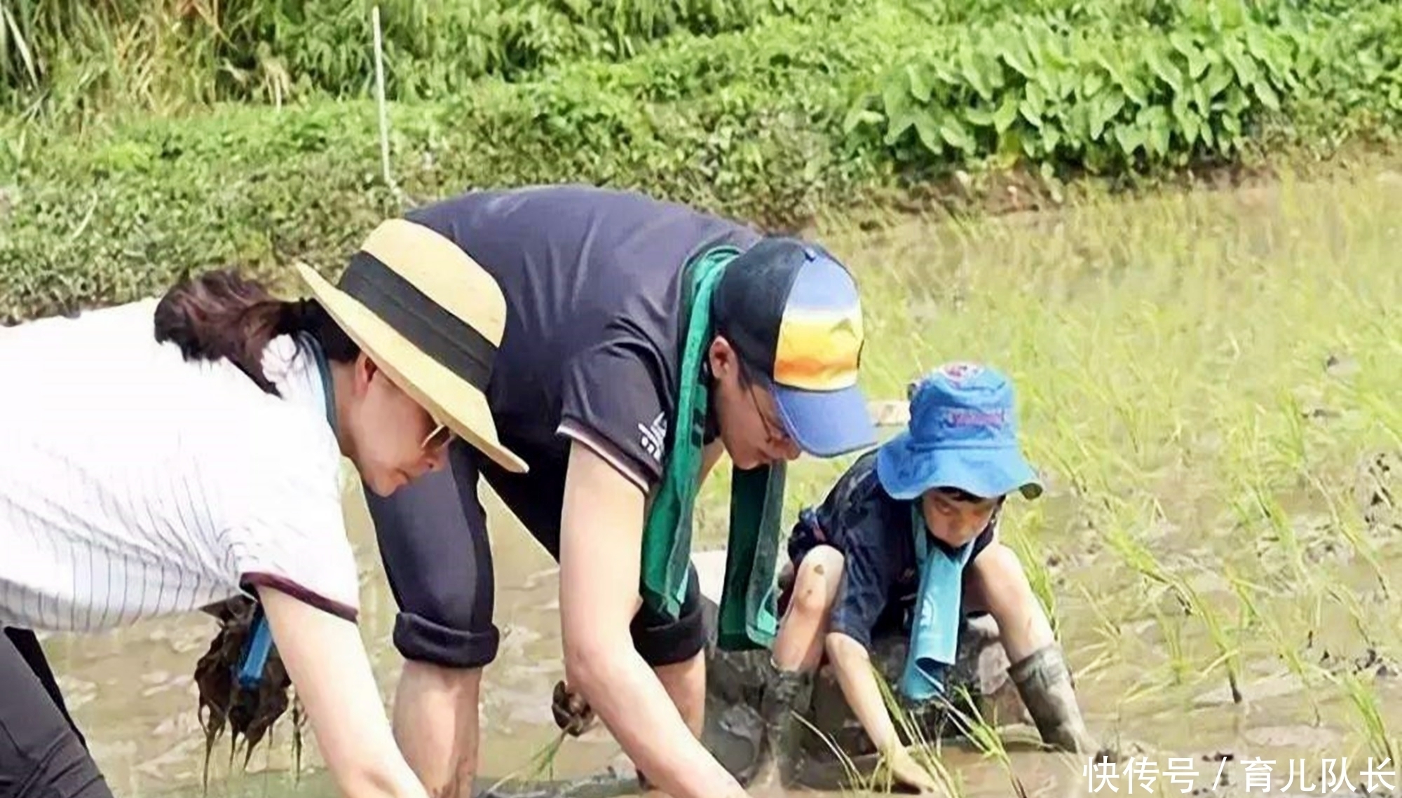 父母|白岩松：父母要明白有三种苦孩子不会白吃，吃得越多长大越有出息