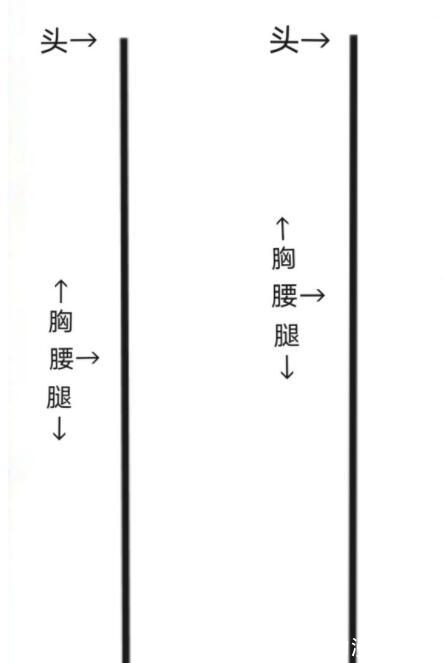 身高差|虽然二次元有身高差，但将每部动漫相同身高的人放一起，有点离谱