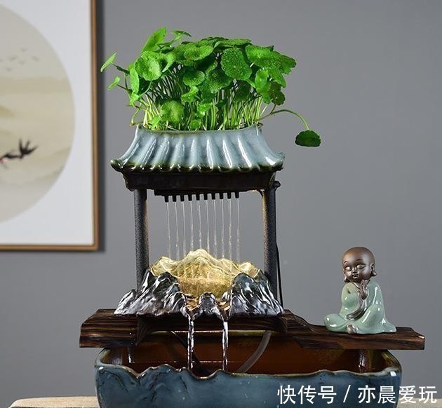 生活环境|铜钱草这样去管理,叶片圆润如翡翠,盆中长满大“铜钱”!