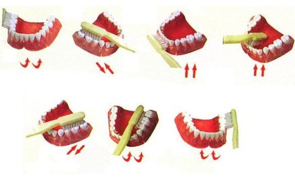 请掌握正确的刷牙方式