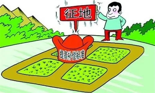 程序|征收程序要走哪些“道”?
