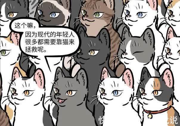 小猫|非人哉：观音的化身太多，除了人以外，大部分都是可爱的小猫！