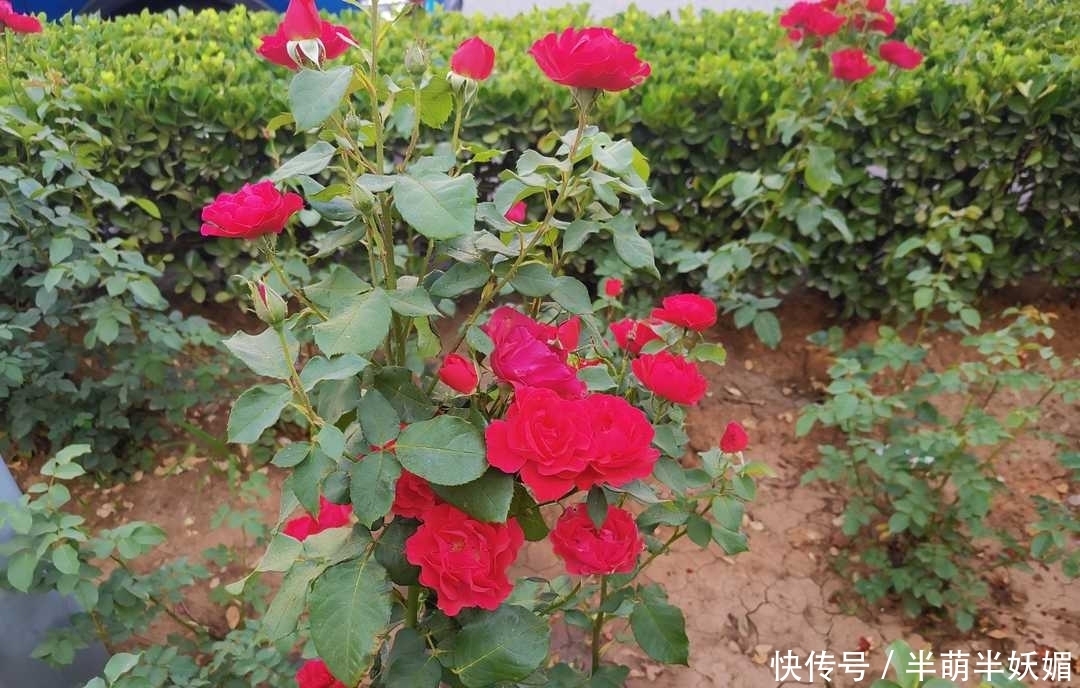 人大|曾国藩:勤俭培养廉洁风骨,正直使人大度,俭朴为立家之本