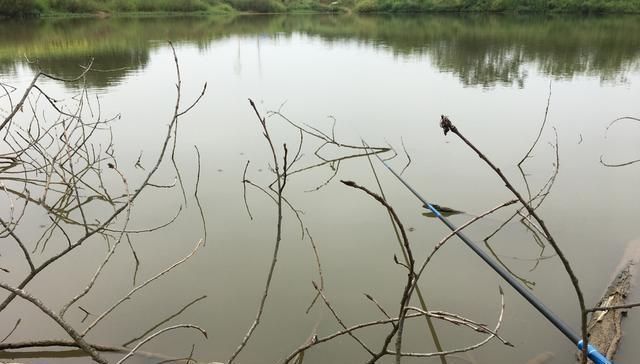 没有水草就不能钓鱼了吗根据这4点来找鱼,下竿之处即咬钩
