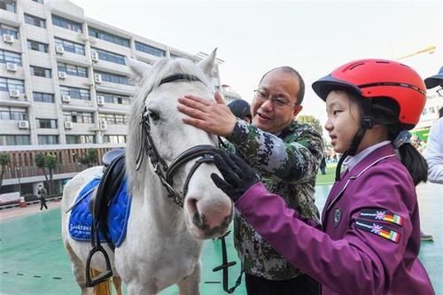 小小骑士进校园，水果湖一小举行马术公开课