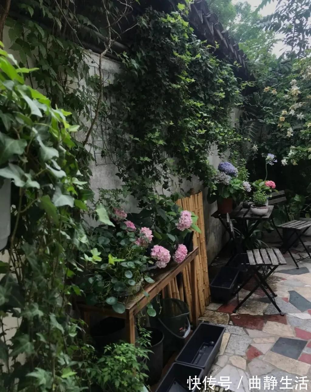 等我老了以后,找个小院陪你养花种菜!