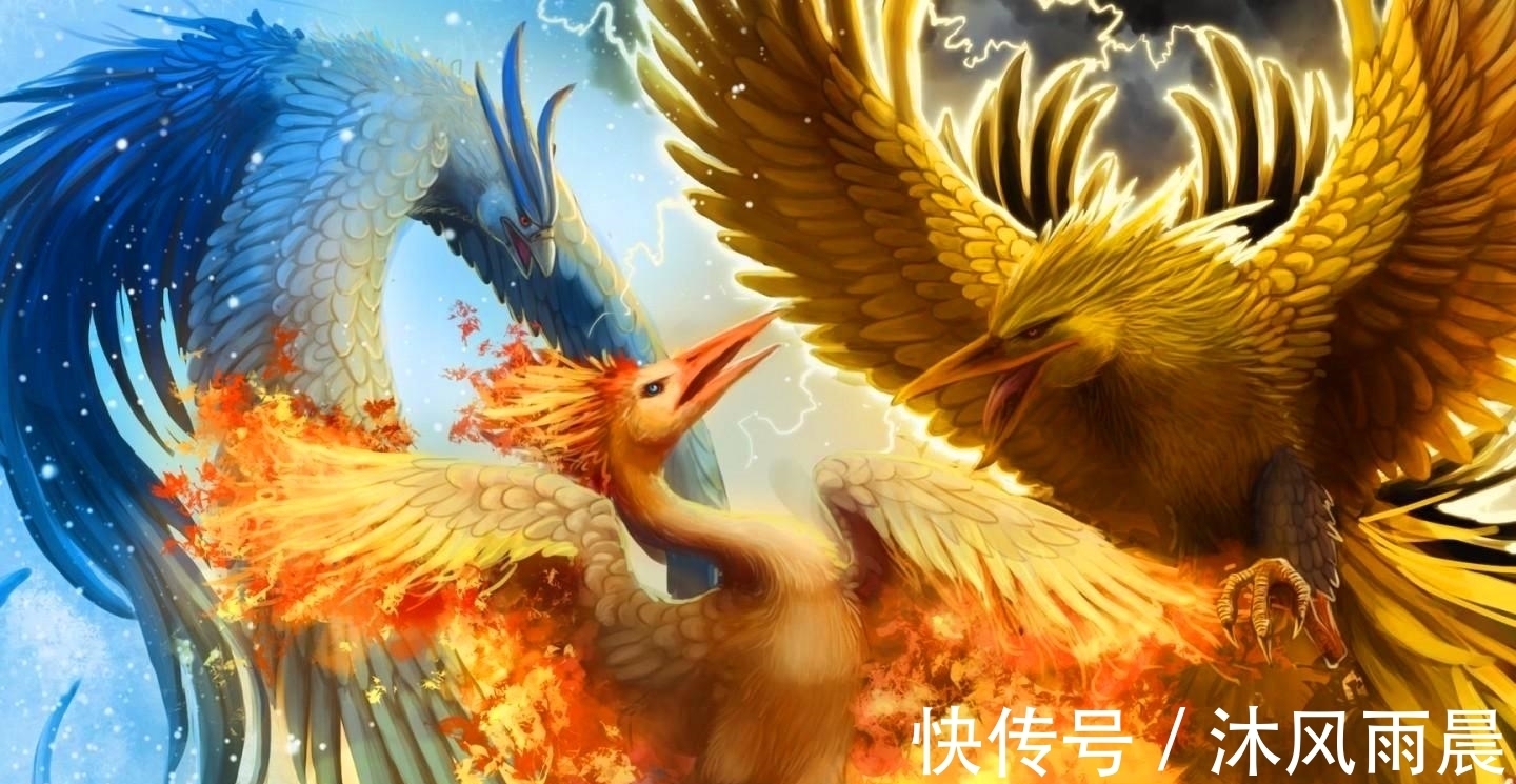 十大神鸟#上古神话中十大神鸟分别是哪些?我们熟悉的精卫便是其中之一