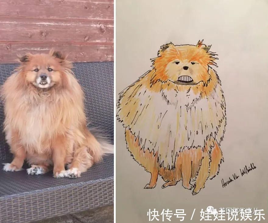 pet#随手涂鸦,自己觉得是“垃圾”的画作,没想到却在网上卖疯了