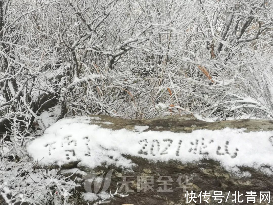 临安|浙江多地下雪！一地积雪厚度达3公分……