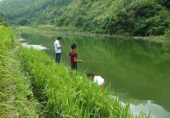 打工仔回到家乡,再钓一次故乡河里的小鱼