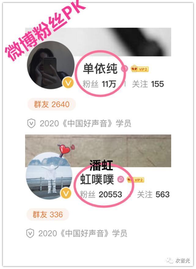 潘虹|《中国好声音2020》单依纯夺冠?看看“大数据”的选择!