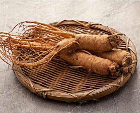 別吃人參了，吃它吧