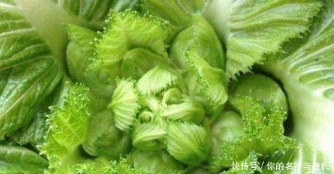 这菜再贵也别省 常吃脑瓜聪明 肝越来越健康
