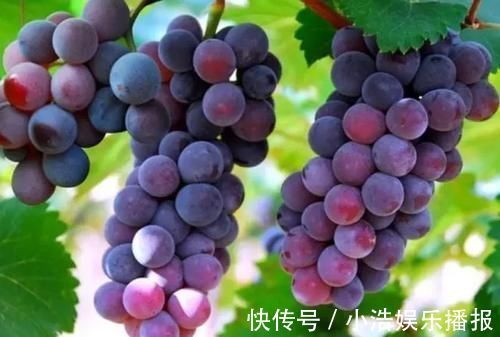 嫩白|怀孕期间,3种水果要舍得吃,对胎儿和自己都好,你吃对了吗?