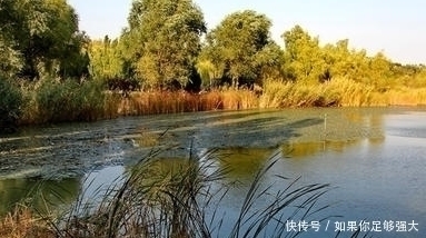 青莲居士|杨万里的一首七律,首句就直击人心,颈联更值得细读