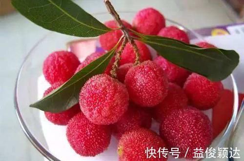 冻柿子|6种水果聪明人从不碰,尤其第二个,堪称寄生虫的窝,有人却爱吃