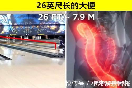 听起来像小说,但却是真实存在世界上的8个有趣冷知识