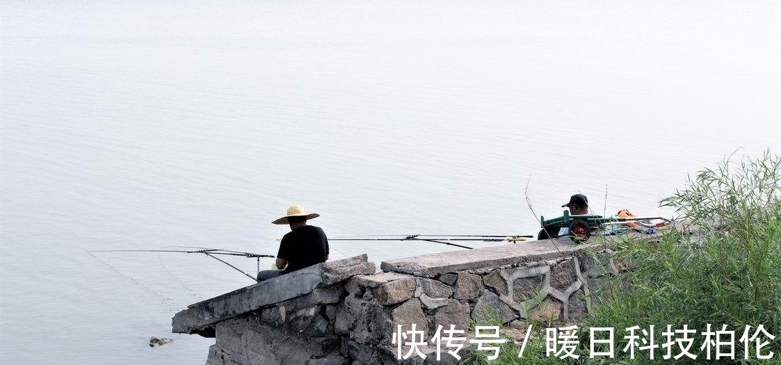 钓客|夏季用这两种饵料钓鱼，不但能钓大鱼，还可防止小杂鱼闹窝