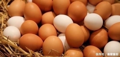 蒸鸡蛋|买鸡蛋,白壳红壳哪个好?养鸡大妈说出答案,告诉家人别花冤枉钱