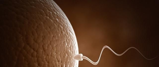 岁数|夫妻之间的最佳年龄差是多少若相差在这个岁数内,就偷着乐吧