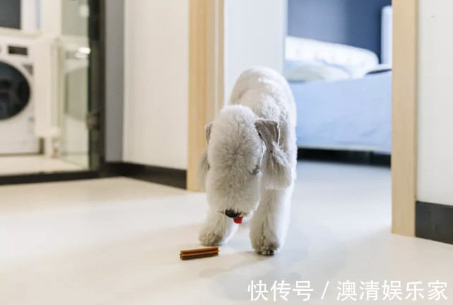 收纳|入住3年的房子还像新的一样,家有猫狗照样干净,强迫症极度舒适
