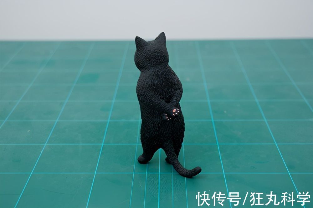 长颈狗|全球的猫都想屏蔽这个日本人,他到底做了多少沙雕手办?