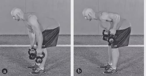 手臂|如何通过训练增强自身爆发力?