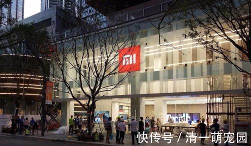 oppo|华为不是第一了:国内手机市场风云突变,线下市场成核心厮杀战场