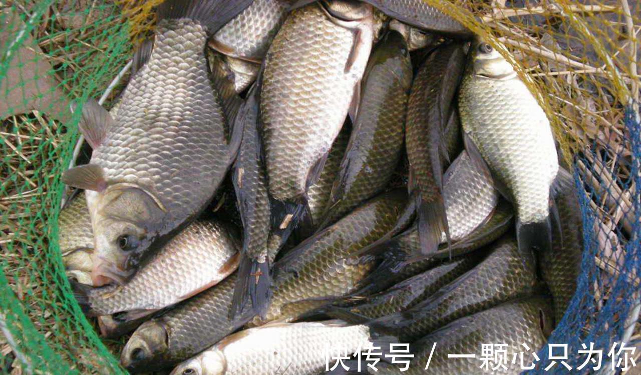 冬天想要钓到鱼、钓好鱼,这三个基础知识点你必须要弄明白