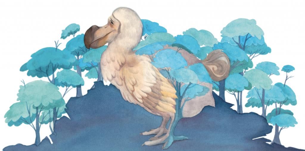 动物|打开世界各地动物的信笺,我们能有何感悟?