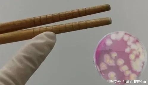 感染|正确使用筷子,关乎一家人的健康从选对、洗对、放对筷子开始