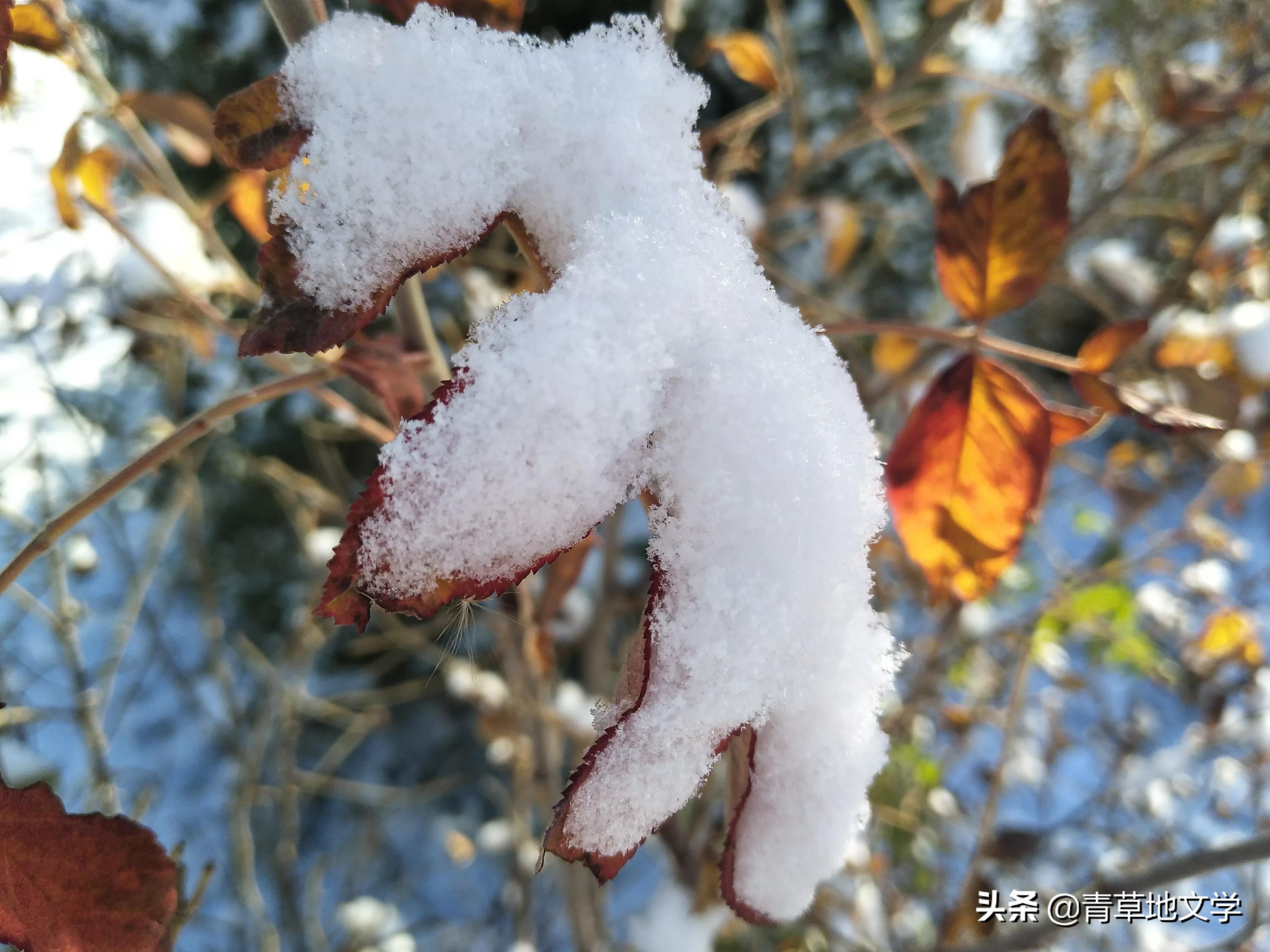 一朵云#雪花的呼唤 (组诗)